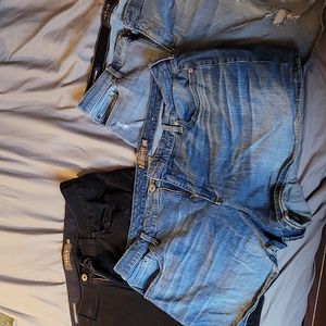 Torrid Denim Short Bundle